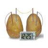Playwrite Science Matters - Fruit & Veg Clock