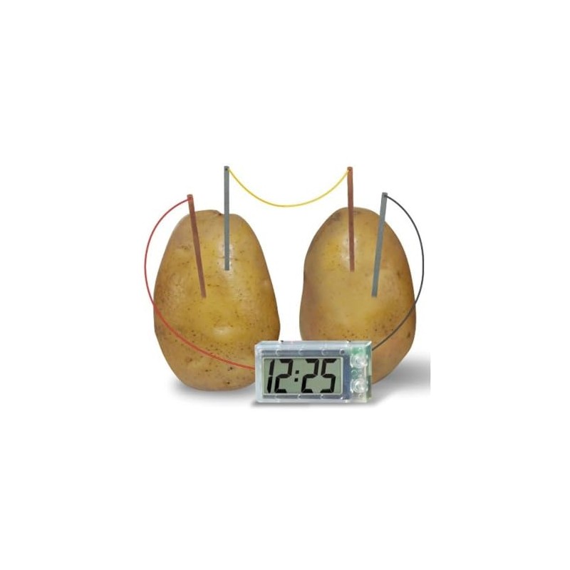 Playwrite Science Matters - Fruit & Veg Clock
