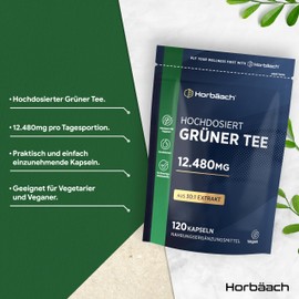 Grüntee Extrakt 12480 mg pro Tagesdosis | 120 Pulver Kapseln | Hochdosiert Green Tea | Vegane | von Horbaach