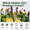 Essential Oils Set (Eucalyptus, Lavender, Lemongrass, Peppermint, Tea Tree, Orange)