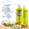 Nefertiti Shampoo Extracto De Hierbas 1 L