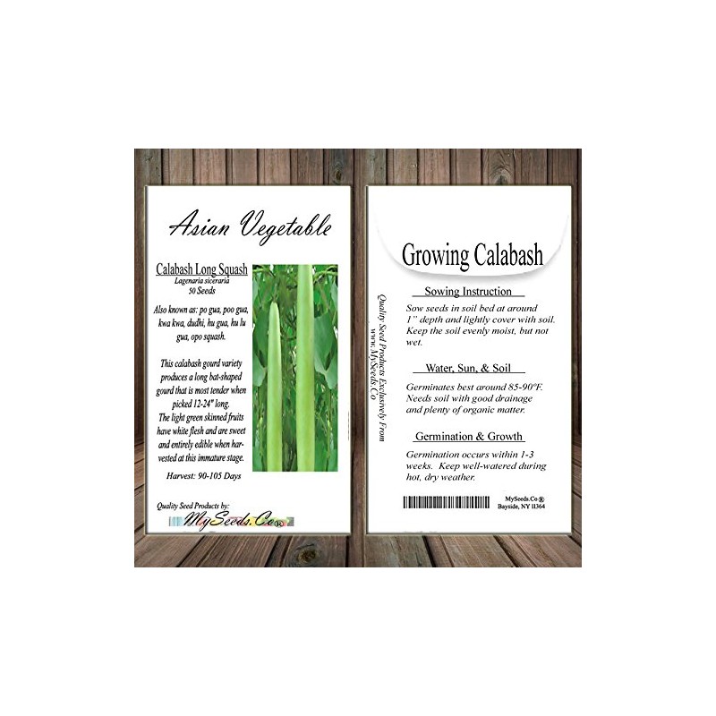 Big Pack - (50) Calabash Long Squash/Melon Seeds, Opo Bottle
