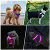 PcEoTllar Light Up Dog Harness, LED Dog Harness for Puppy