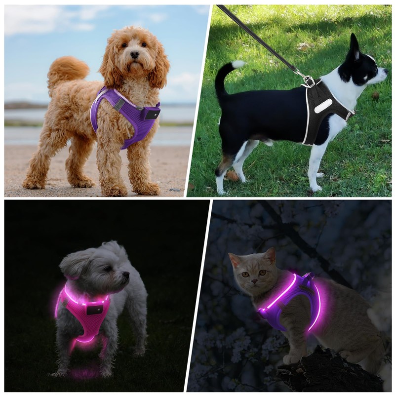 PcEoTllar Light Up Dog Harness, LED Dog Harness for Puppy