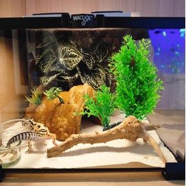 PINVNBY Artificial Plants for Reptile,Bearded Dragon Terrarium Plant Decor with Resin Base Gecko Tank Accessories for Reptiles Lizards Snakes Chameleons Geckos(Green)