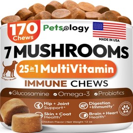 Turkey Tail Mushroom for Dogs - 170 Chews - Lion’s Mane - Shiitake - Reishi - Buddy Immune Support Guard - Mushroom Supplement for Dogs Lumps and Bumps Glucosamine, Health Vitamins Multivitamin