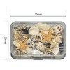 Vxcvzv Sea Shells Different Shape Ocean Seashells Mixed Sea Shells