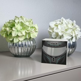 Motorsport Helmet Money Box Made of Wood in Black/Silver Wooden Money Box Motorsport Racing Car Helmet Motorcycle Piggy Bank Racing Money Box Racing Children Car Sports Car Biker