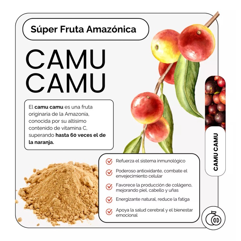 5 Magnesios Citrato Magnesio Polvo, Glicinato Magnesio, Treonato, Taurato, Gluconato