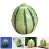 Alipis 12pcs Artificial Watermelon Model Miniature Resin Fake Watermelon Realistic
