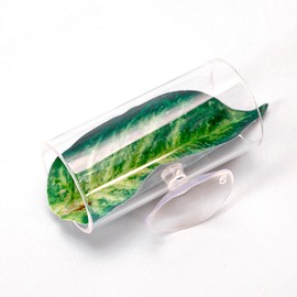 Acrylic Tube Tunnel, Hollow Design for Better Observation of Floating Betta Fish Hideout Log, Betta Fish Tank Decor Accessories Toys (Clear 1)