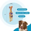 Charming Pet Squawkers Dog Toys