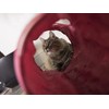 SmartyKat Crackle Chute Crinkle Activity Tunnel Cat Toy - Tan/Red,