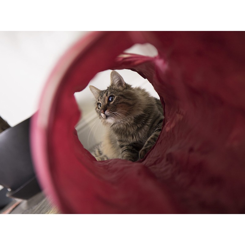 SmartyKat Crackle Chute Crinkle Activity Tunnel Cat Toy - Tan/Red,