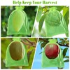 Morcheiong 60Pcs Fruit Protection Bags 6" x 8", Reusable Fruit