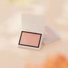 Enamor 02 Pure Sorbet Merrow Melting Cheek KAJIERI
