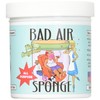 Bad Air Sponge