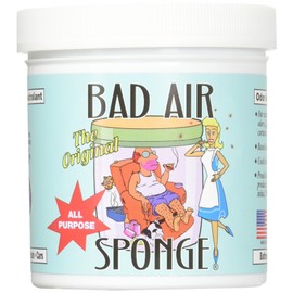Bad Air Sponge