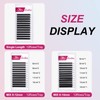 FADVAN 3D W-Shaped Volume Eyelashes, 0.07D Curl, Mixed 8-12 mm