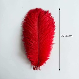 Piokio 20pcs Red Ostrich Feathers 10-12 inch (25-30cm) Bulk Feathers for Wedding Party Centerpieces, Home Decoration and DIY Clothing, Gatsby Decorations