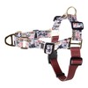Hooey Nomad Walking Dog Harness, No-Pull Adjustable Harness for Dogs,