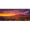 AWERT Sun and Desert Terrarium Background Mountain Oasis Gobi Reptile Habitat Background Durable Polyester Background