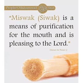 Al-Falah 3 x Al-Falah Miswak (Sewak) Traditional 100% Natural Toothbrush