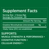 ESUNM ESUNM Creatine Monohydrate Powder, 5g Per Serving Creatine Powder