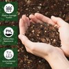 Doter Premium Bonsai Soil Mix with Enhanced Aeration & Drainage
