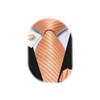 Hi-Tie Light Orange Striped Tie Sets Wedding Silk Necktie Pocket