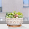 Eightpot 8 Inch Ceramic Succulent Planter Pot with Drainage Hole