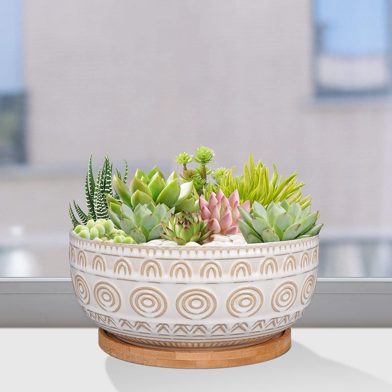 Eightpot 8 Inch Ceramic Succulent Planter Pot with Drainage Hole