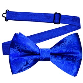 GUSLESON Mens Royal Blue Bow Tie for Wedding Pre-Tied Solid Paisley Bowties for Party (0496-10)