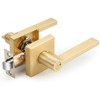EHOMEWARE 6 Pack Door Handles, Satin Brass Door Knobs Privacy