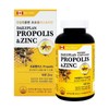 HEALTHYHABITS Evergreen Daily Plan Propolis & Zinc