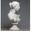 Bust Head Goddess Aphrodite of Milos Venus Alabaster Statue Sculpture
