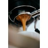 Monsoon Malabar Coffee Beans. Dark Roast Whole Coffee Beans, Single
