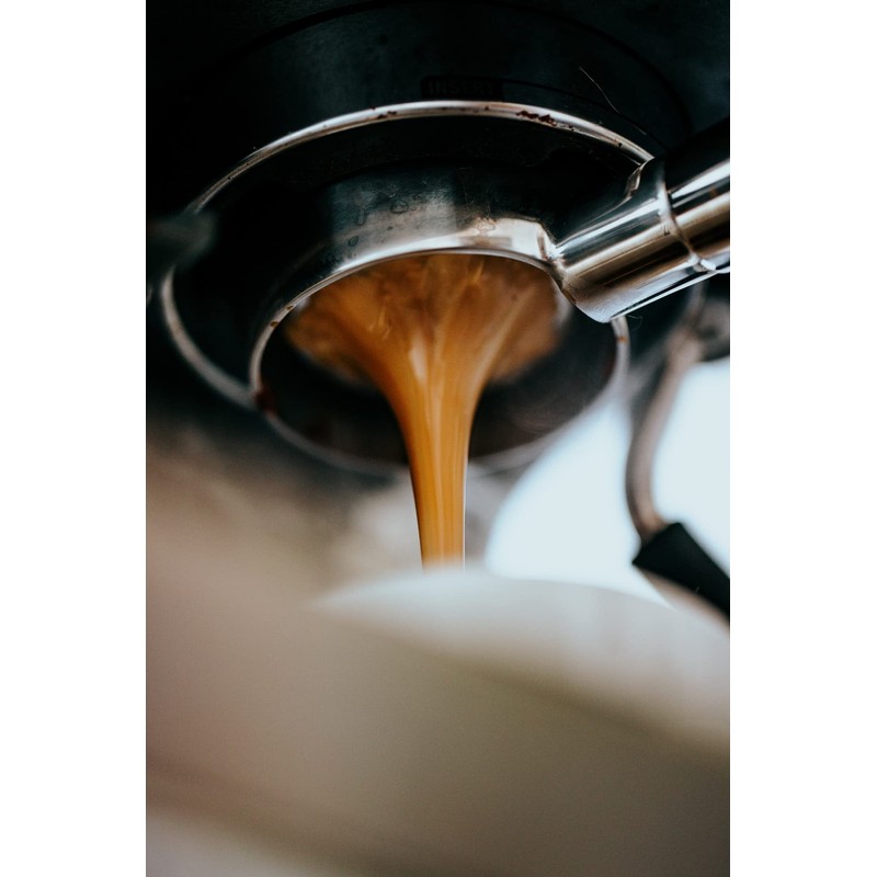 Monsoon Malabar Coffee Beans. Dark Roast Whole Coffee Beans, Single