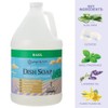 Ginger Lily Farms Botanicals Plant-Based Liquid Dish Soap, Concentrated Formula
