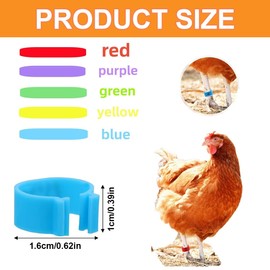 Poultry Bands, Pack of 100 Spiral Ring, Birds Foot Rings, Leg Rings, Leg Bands, Clamping Rings, Identification Foot Ring, for Marking for Birds, Parrots, Doves, Chicks, Multicoloured, Diameter 1.6 cm