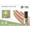 Kyo no Gofun Nail Shuran 0.3 fl oz (10 ml)