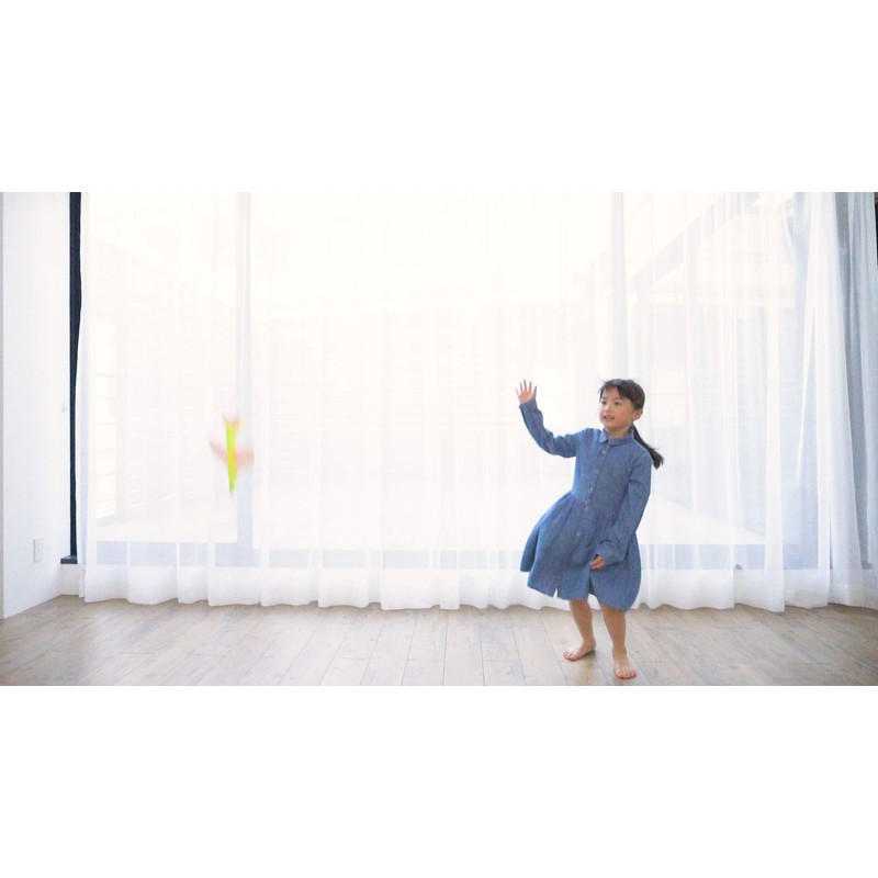 Boomerang airplane Looper Looper (2 aircraft entering)