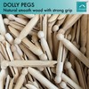 24pc Wooden Dolly Pegs