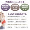 Angelbean 乳酸菌 原末100% 国産 植物性ナノ型 原料 粉末 パウダー 30g