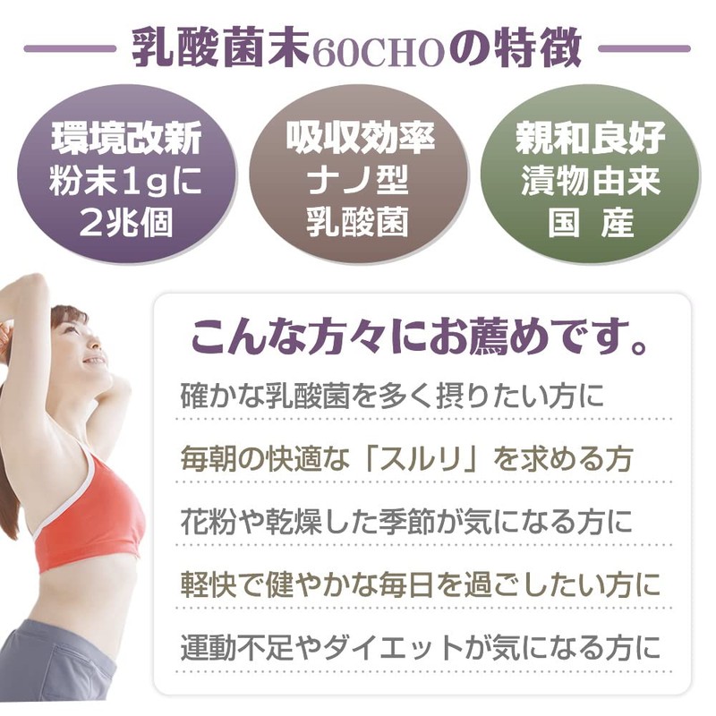 Angelbean 乳酸菌 原末100% 国産 植物性ナノ型 原料 粉末 パウダー 30g