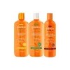 Pack Shampoo Acondicionador + Activador De Rulo Karité Cantu