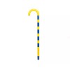 Sigma Gamma Rho Cane - Wide Block Small SGRho