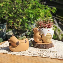 SPEALLOY Capybara Resin Succulent Planter Set of 2 - Mini Garden Decor with Drainage Holes (4.1"x2.75", for Plant Lovers)