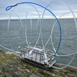 LUPUSH Crab Trap for Fishing Pole (SuperHeavy 900) – Stainless Steel Crab Snare with Rustproof Cage – Dungeness & Rock Crabbing Gear for Pier, Jetty, or Surf 2-Pack