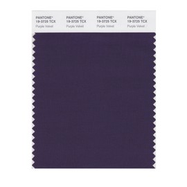 PANTONE Smart 19-3725X Color Swatch Card, Purple Velvet